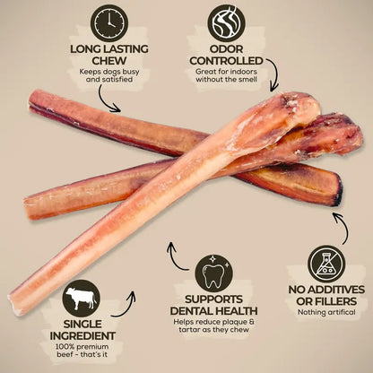 12-Inch Premium Bully Stick for Dogs