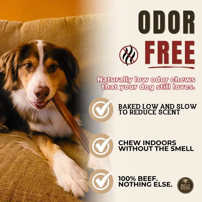 12-Inch Premium Bully Stick for Dogs