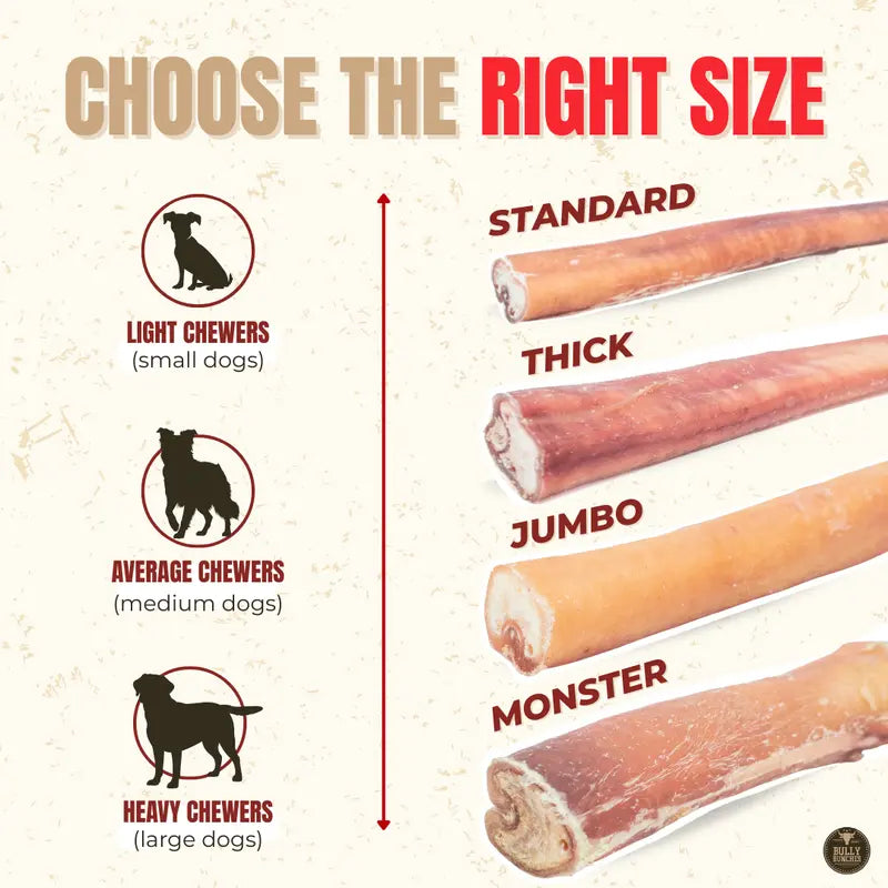 12-Inch Premium Bully Stick for Dogs